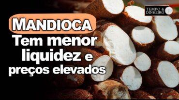 Mandioca tem semana com menor liquidez e preços elevados