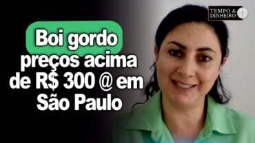 Boi gordo com restrição de oferta  e preços acima de 300 @ em SP, informa Shirley Menezes, do CEPEA