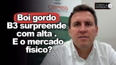 Boi gordo :B3 surpreende com alta. E o mercado físico? Tiago Bernardino, do CEPEA, analisa o cenário