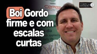 Boi gordo firme e com escalas curtas informa Tiago Bernardino , do CEPEA