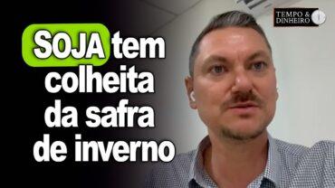 Soja tem colheita da safra de inverno na Bolívia, registra Alexandre Gazolla