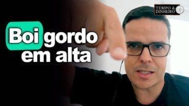 Boi gordo em alta. O que fazer? Maurício Bellinelo explica