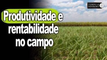 Lottus Biossoluções e cana de açucar : casamento de produtividade e rentabilidade no campo