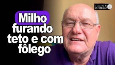 Milho furando teto e com fôlego, afirma Vlamir Brandalizze