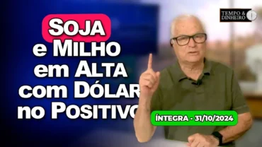 Soja e milho em alta, café e trigo recuam. Dólar no positivo. Alerta para  chuvas no Centro Oeste