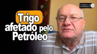 Trigo afetado pelo Petróleo, afirma Vlamir Brandalizze