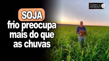 Soja instalada em boa parte do país é atingida pela chuvas, mas frio preocupa mais, informa Gazolla