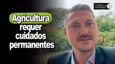 Agricultura requer cuidados permanentes da semente no solo, desenvolvimento da planta a colheita