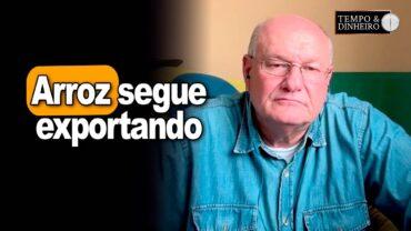 Arroz segue exportando com apoio do Dólar, informa Vlamir Brandalizze
