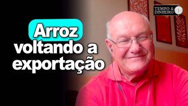 Arroz voltando a exportação, avalia Vlamir Brandalizze