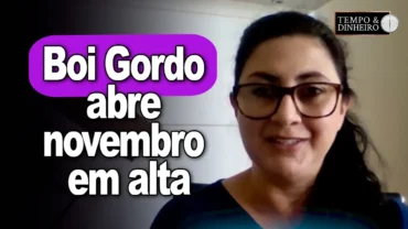 Boi gordo abre novembro em alta no mercado físico com escalas curtas, informa Shirley M. do CEPEA