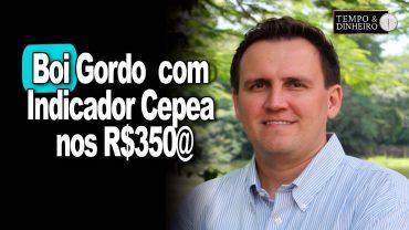 Boi gordo com Indicador Cepea nos R$350@ e carne com preços estáveis, informa Thiago Bernardino
