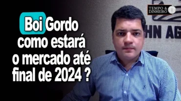 Boi gordo com mercado firme e deve se manter nesse ritmo até o final de 2024, diz Hyberville Neto