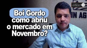 Boi gordo abre novembro com preços e mercado firmes, informa Hyberville Neto