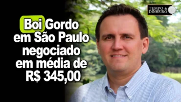 Boi gordo em São Paulo negociado em média de R$ 345,00 e firme em todo o país, diz Thiago Bernardino