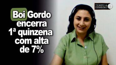 Boi gordo encerra 1ª quinzena com alta de 7% e indústria muda prazo de pagamento, informa CEPEA