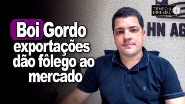 Boi gordo: exportações dão fôlego ao mercado do boi, explica Hyberville Neto