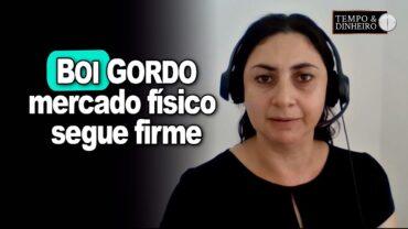 Boi gordo tem movimento de fundos na B3 mas mercado físico segue firme, diz Shirley Menezes do CEPEA