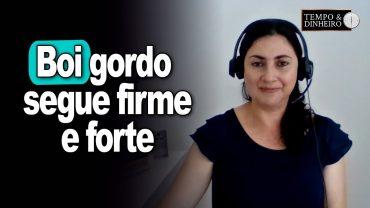 Boi gordo segue firme e forte. Acompanhe o comentário de Shirley Menezes, do CEPEA