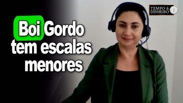 Boi gordo tem escalas menores que as de novembro. Preços firmes