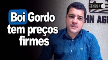 Boi gordo tem preços firmes neste início de mês. As informações com Hyberville Neto