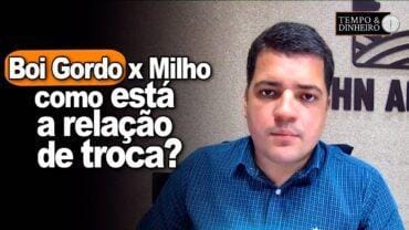 Boi gordo x milho: como está a relação de troca? Hyberville Neto comenta