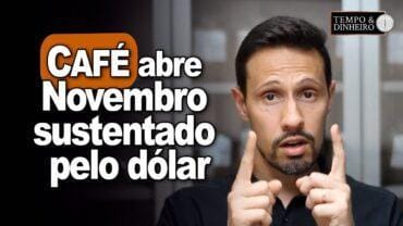 Café abre novembro sustentado pelo dólar e SP incentiva plantio de conilon, informa Bruno Labs