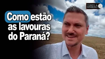 Como está o estabelecimento das lavouras no Paraná? Alexandre Gazolla comenta