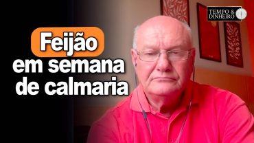 Feijão em semana de calmaria, Vlamir Brandalizze comenta