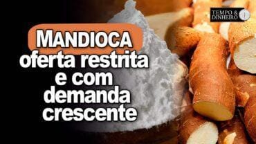 Mandioca tem oferta restrita e com demanda crescente preços sobem, informa Fábio Isaías Felipe