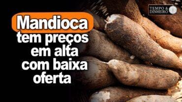 Mandioca tem preços em alta por mais uma semana com baixa oferta, informa Fábio Felipe, do CEPEA.