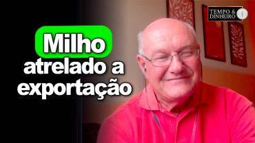 Milho agora atrelado a exportação, analisa Vlamir Brandalizze