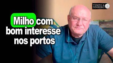 Milho com bom interesse nos portos, analisa Vlamir Brandalizze