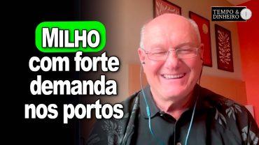 Milho com forte demanda nos portos, informa Vlamir Brandalizze