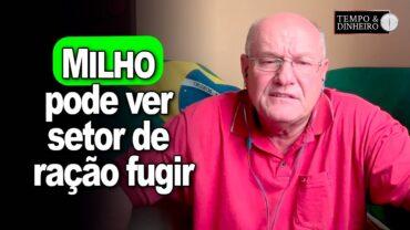 Milho pode ver setor de ração fugir, comenta Vlamir Brandalizze