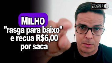 Milho “rasga para baixo” e recua R$6,00 por saca e pode continuar pressionado, informa Bellinelo