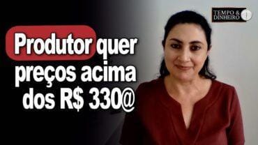 Boi gordo: aumento de R$5 em R$5 na @ não alonga escala. Produtor quer preços acima dos R$ 330@