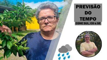 Cone Sul, CO e SE | Mantem a irregularidade na chuva (21/01/2025)