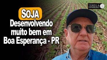 Soja desenvolvendo muito bem em Boa Esperança – PR, comenta João Eduardo Pasquini