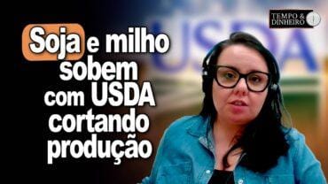 Soja e milho sobem com USDA cortando produção e produtividade dos EUA, informa Carla Mendes