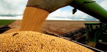 Super quarta afetando a Soja, informa Vlamir Brandalizze