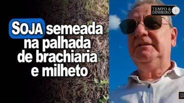Soja semeada na palhada de brachiaria e milheto mostra João E. Pasquini, de Nova Esperança, no PR