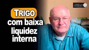 Trigo com baixa liquidez interna, analisa Vlamir Brandalizze
