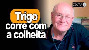 Trigo corre com a colheita, explica Vlamir Brandalizze