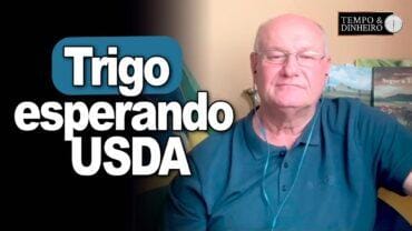 Trigo esperando USDA, informa Vlamir Brandalizze
