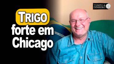 Chicago com Trigo forte neste começo de semana, comenta Vlamir Brandalizze