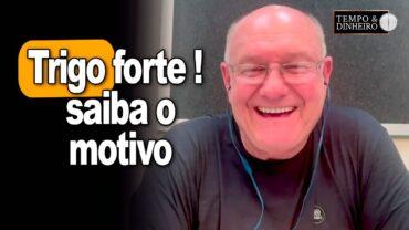 Trigo forte com apoio da Eurásia, informa Vlamir Brandalizze