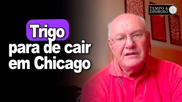 Putin calmo segura preços do Trigo em Chicago, informa Vlamir Brandalizze