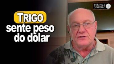 Trigo sente peso do dólar, explica Vlamir Brandalizze