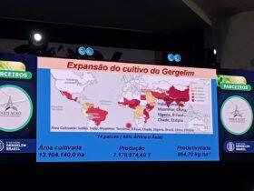 Evento sobre gergelim, em Canarana, leste do Mato Grosso